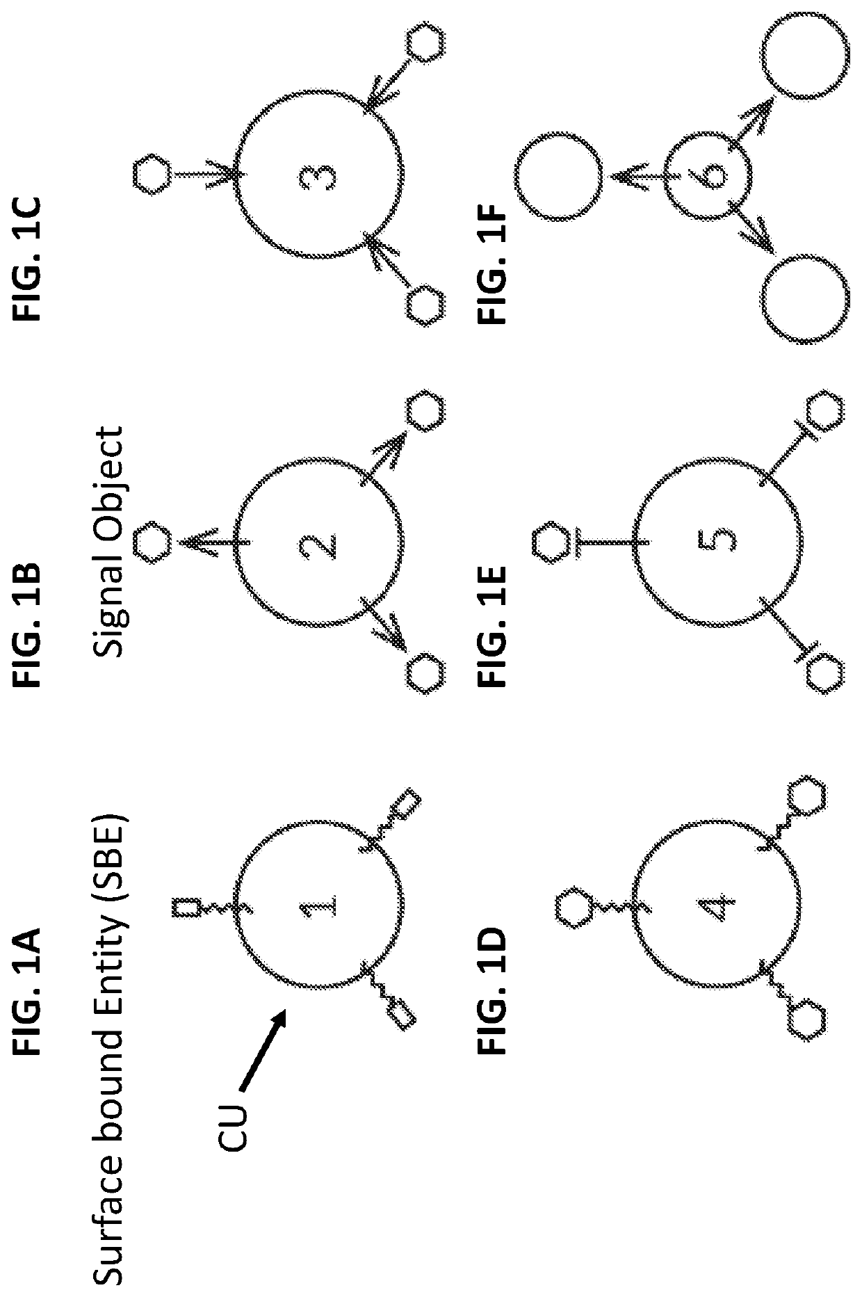 Biological computing systems and methods for multivariate surface analysis and object detection