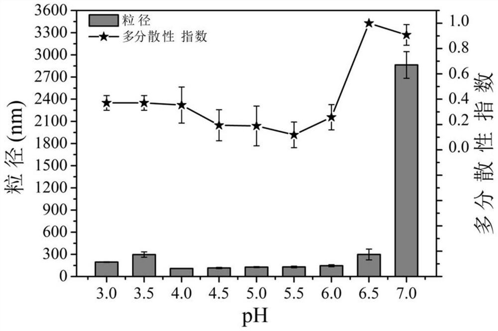 Composite condensation product with double-embedding function as well as preparation method and application of composite condensation product