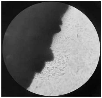 Preparation method and application of honeycomb ceramic/biochar film/rare earth perovskite monolithic catalyst