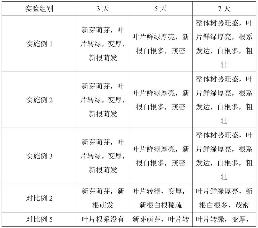 Novel efficient biochemical potassium fulvate and preparation method thereof