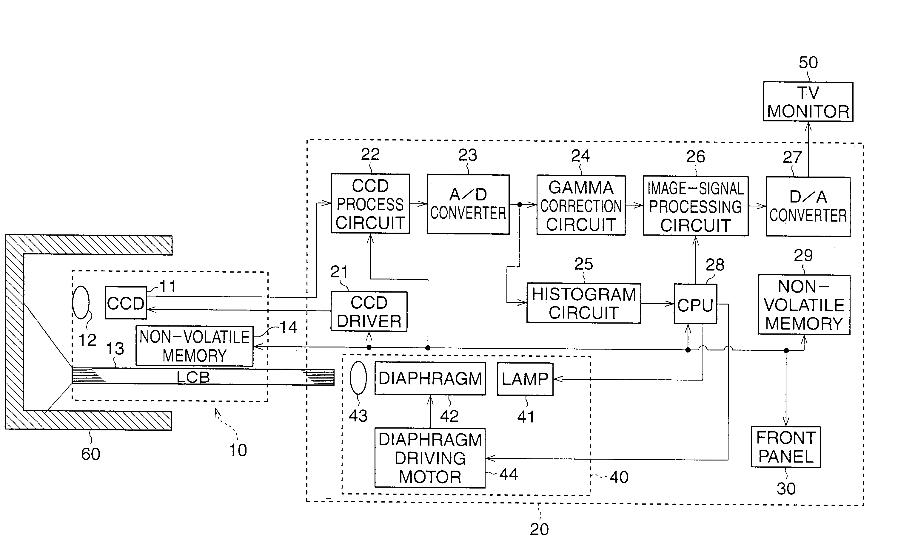 Automatic gain control device for electronic endoscope