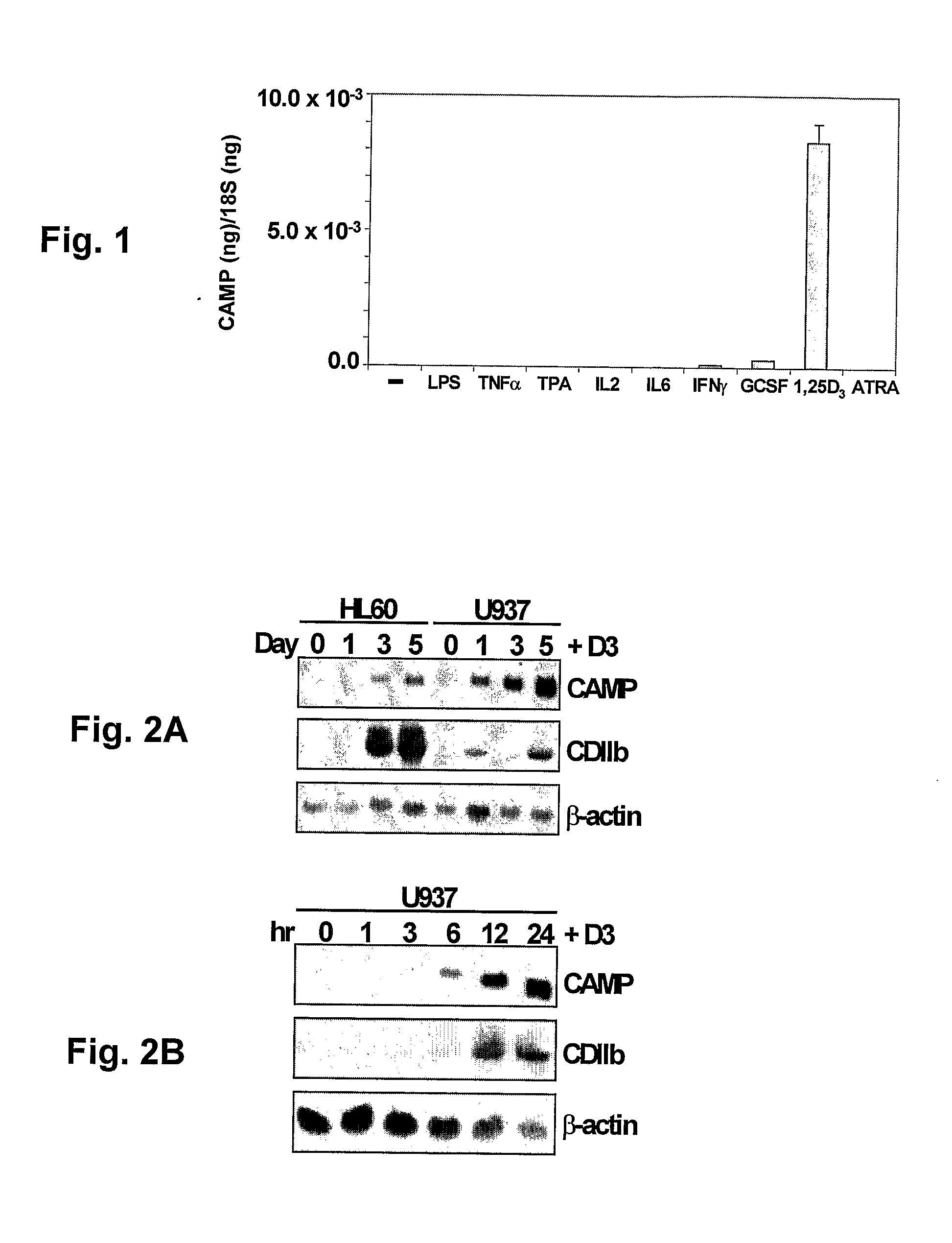 Induction of innate immunity by vitamin d3 and its analogs