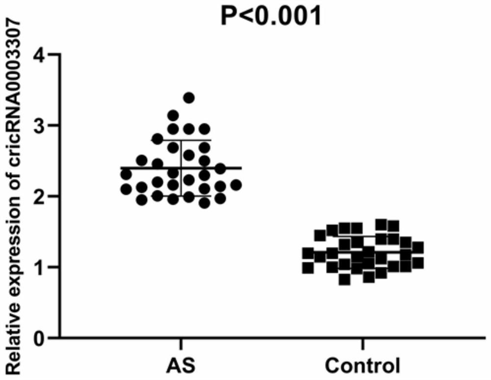 Application and detection method of circRNA0003307 gene