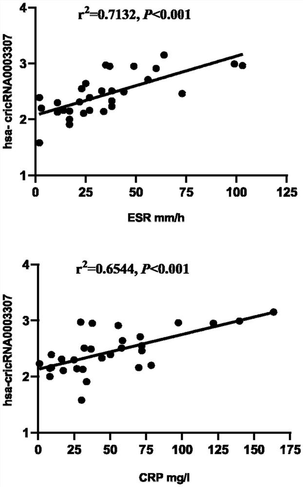 Application and detection method of circRNA0003307 gene