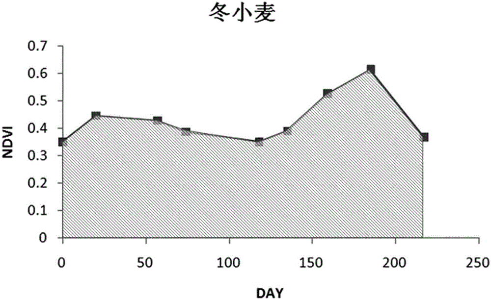 Winter wheat extraction method based on NDVI (normalized difference vegetation index) time series curve integral