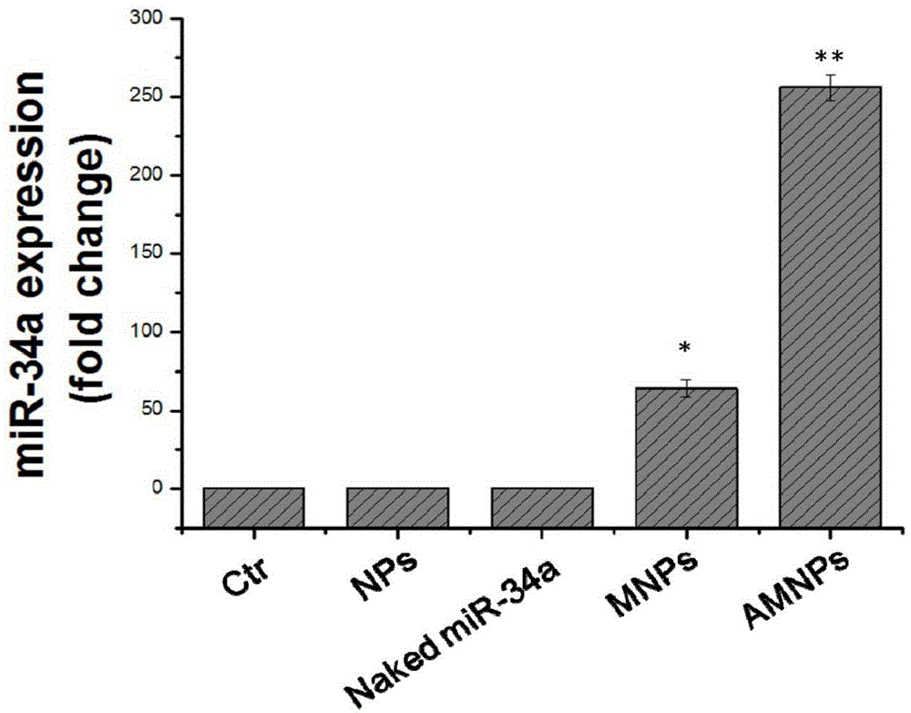 Aptamer-based targeted delivery microRNA nanometer carrier as well as preparation method and application thereof