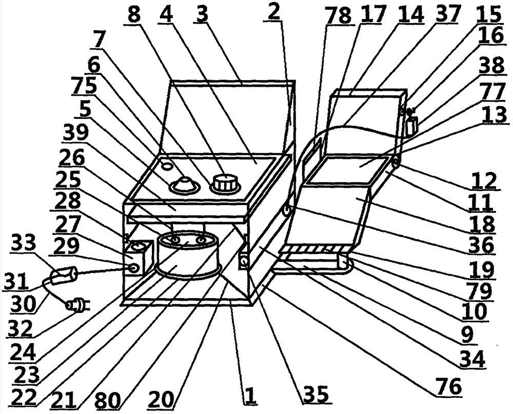 Self-adjusting visual inspection device for ophthalmology