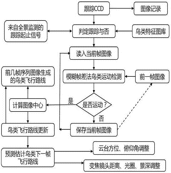 Airport bird information obtaining method based on panoramic and precise image tracking system