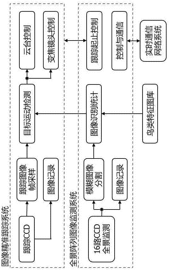 Airport bird information obtaining method based on panoramic and precise image tracking system