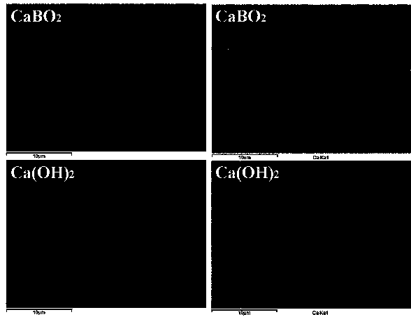 Nickel-based cell anode, its preparation method and nickel-based cell by using anode