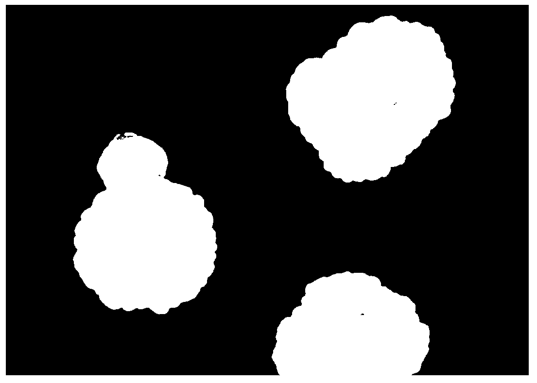 Bacillus subtilis YB-05, microbial preparation thereof, and application of Bacillus subtilis YB-05 or microbial preparation