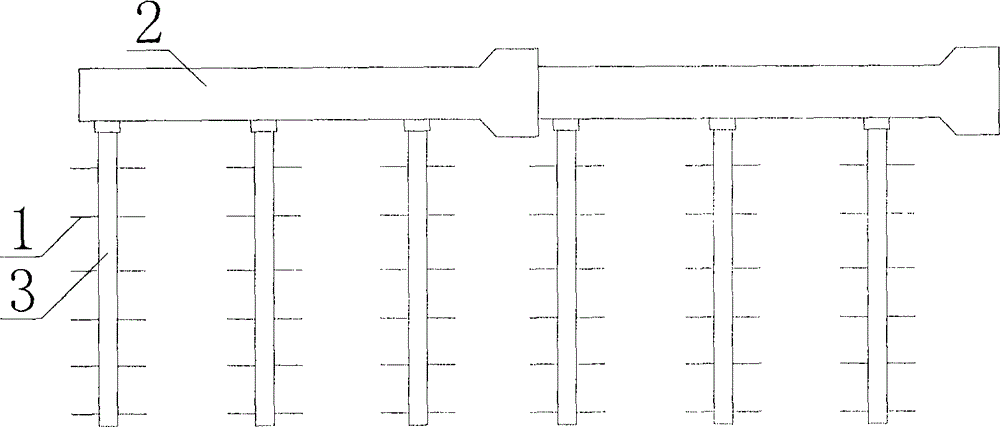 Water-saving irrigation method and water-saving irrigation system