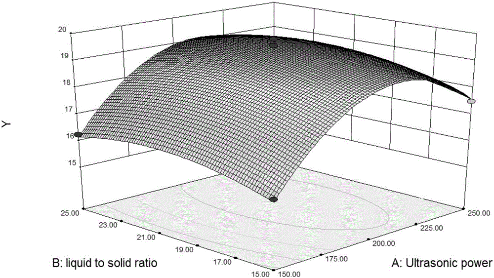 Ultrasonic auxiliary acid extracting method for optimizing collagen through response surface method