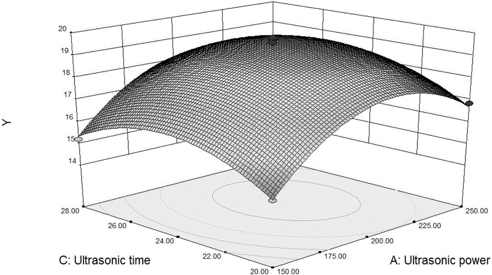 Ultrasonic auxiliary acid extracting method for optimizing collagen through response surface method