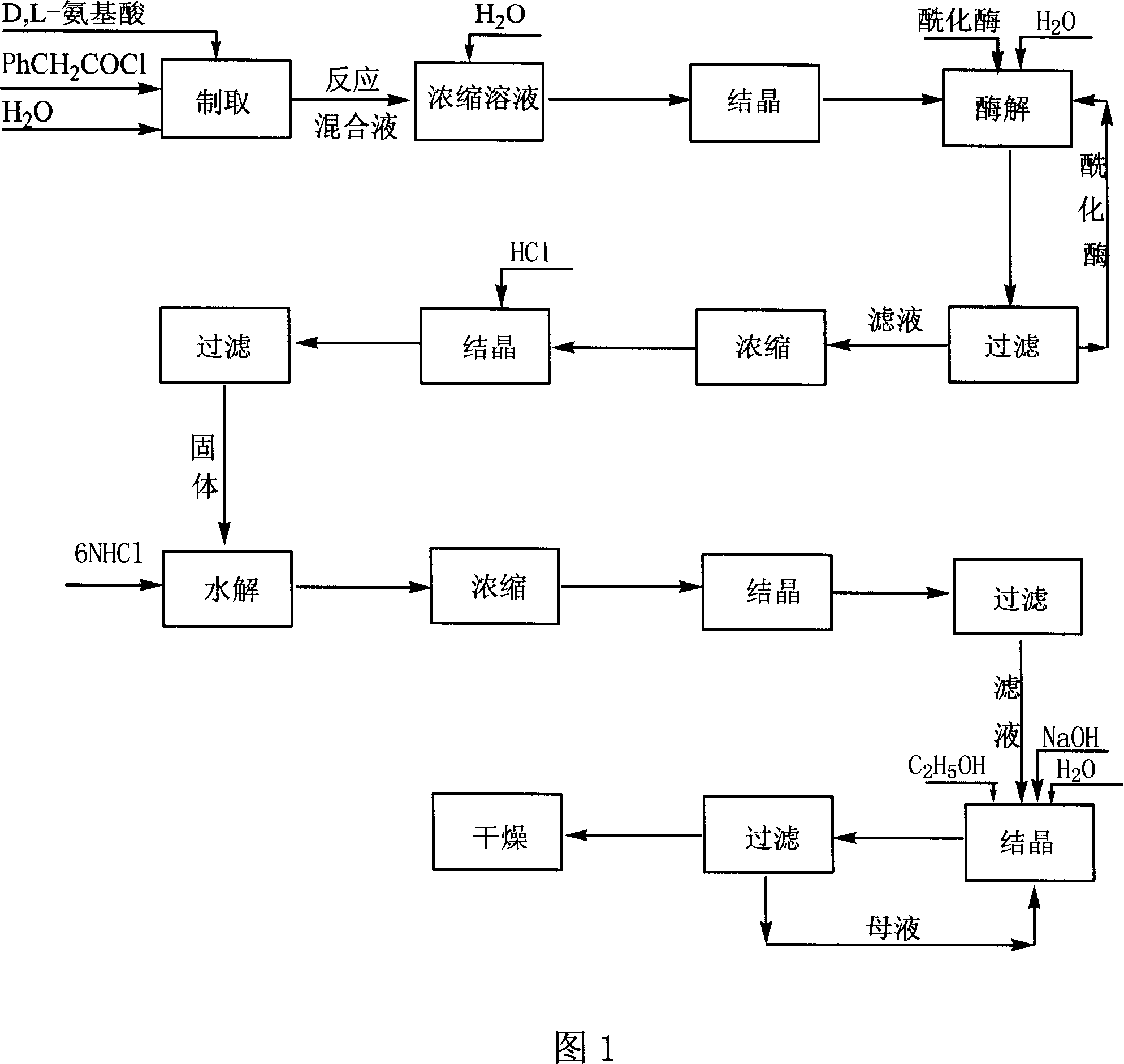 Method for producing D amino acid by immobilizing acylation enzyme of penicillin