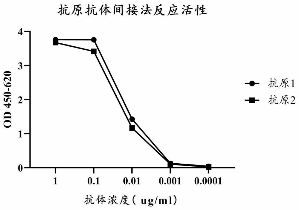 Anti-human abnormal prothrombin antibody and application thereof