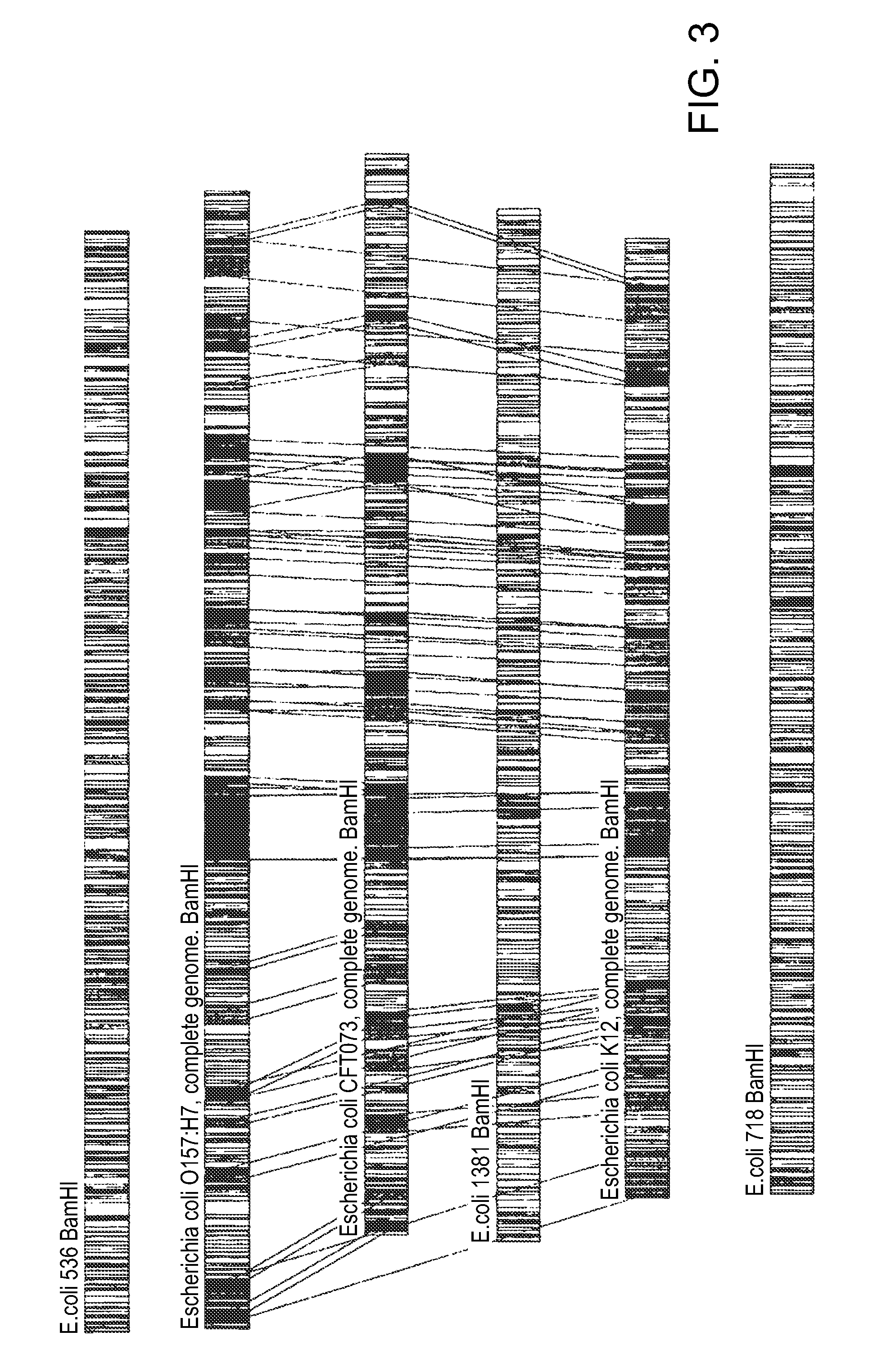 Methods of identifying an organism