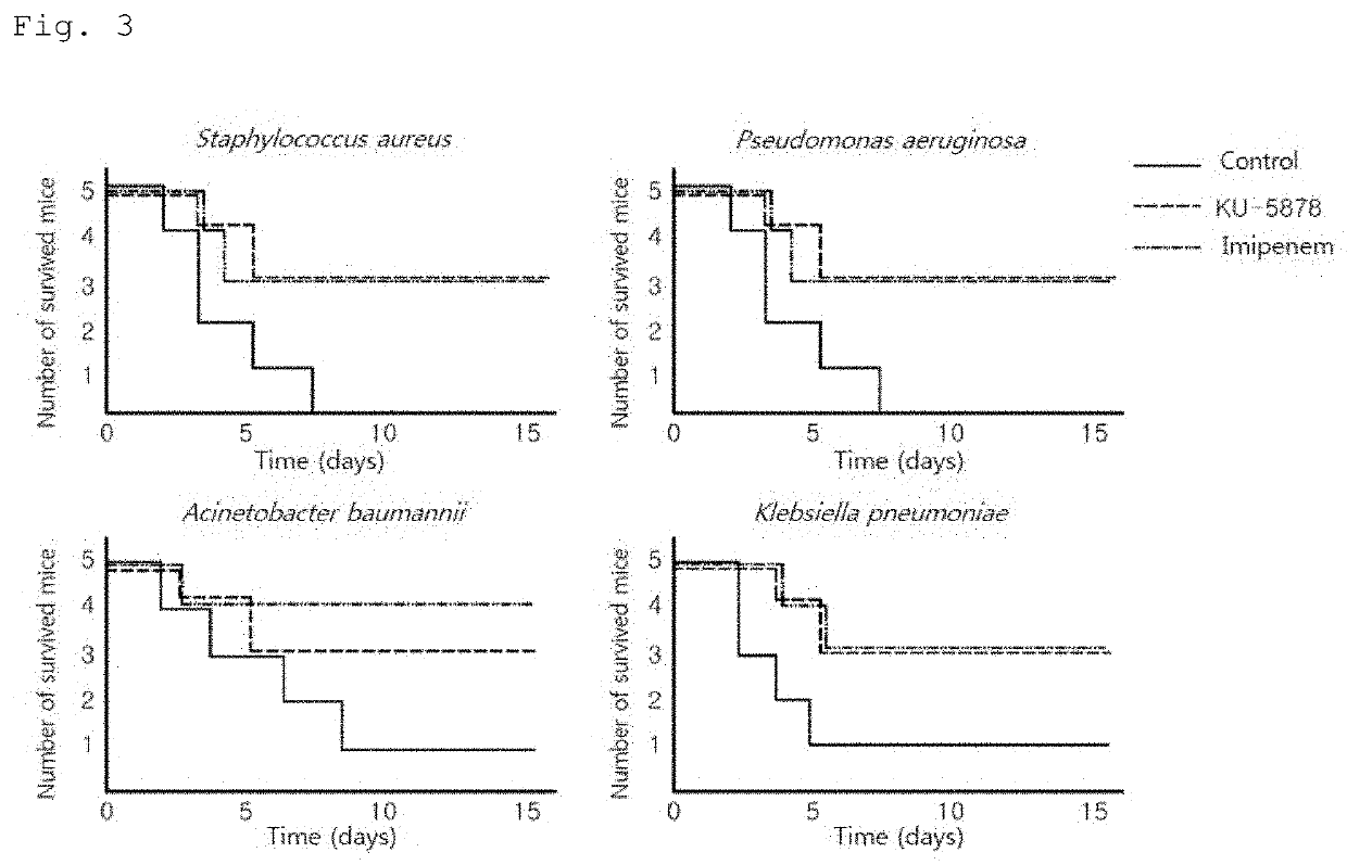 Romo1-derived antimicrobial peptides and variants thereof