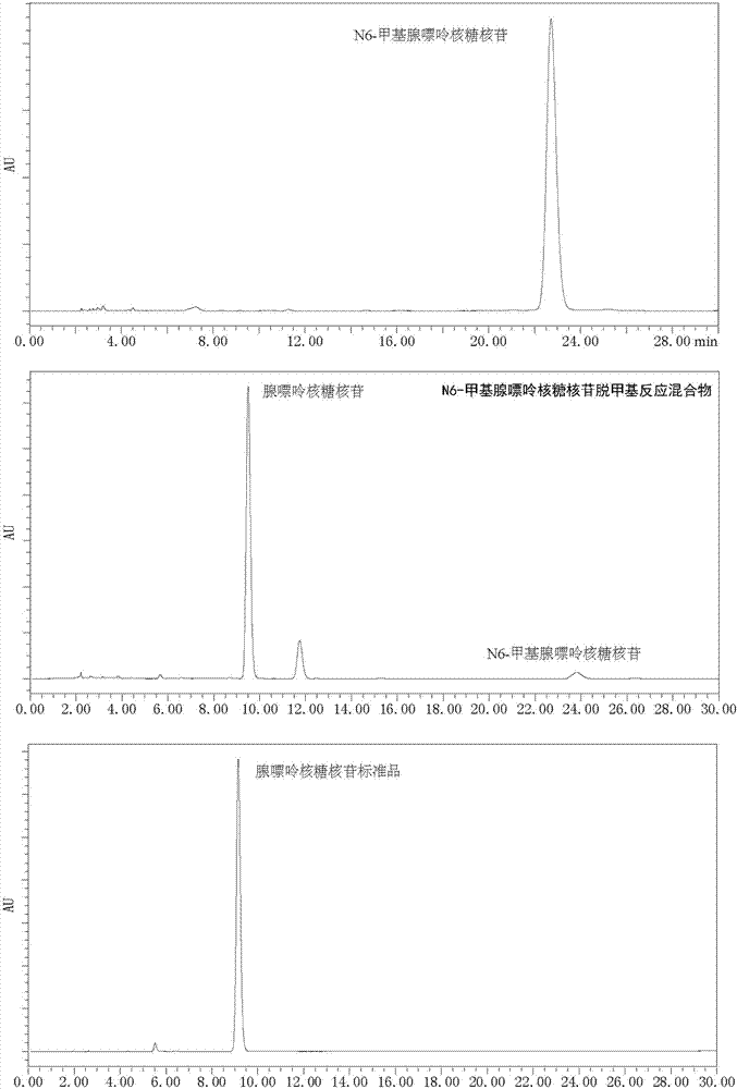 Photochemical demethylation method for N6-methyladenine