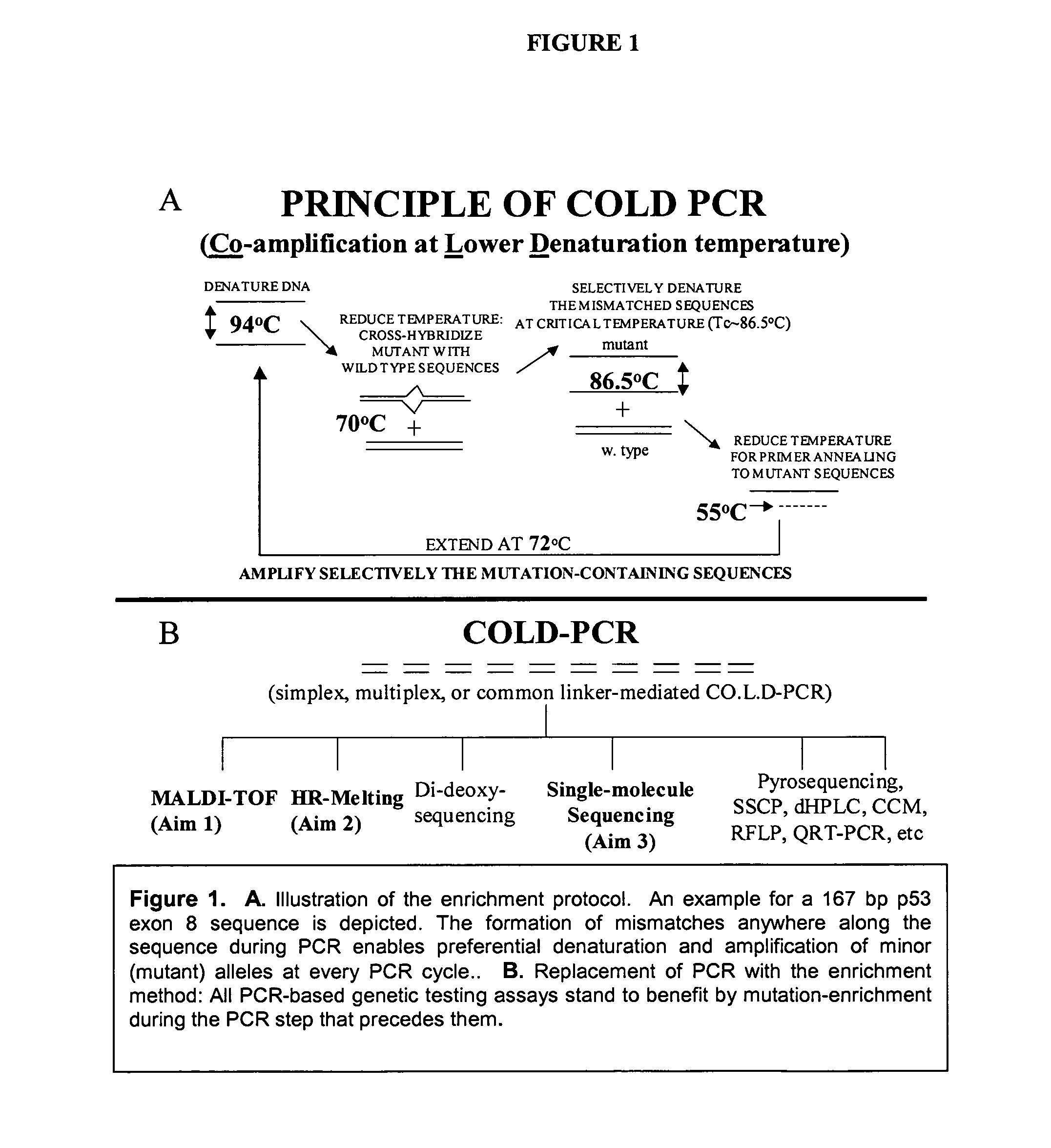 Enrichment of a target sequence