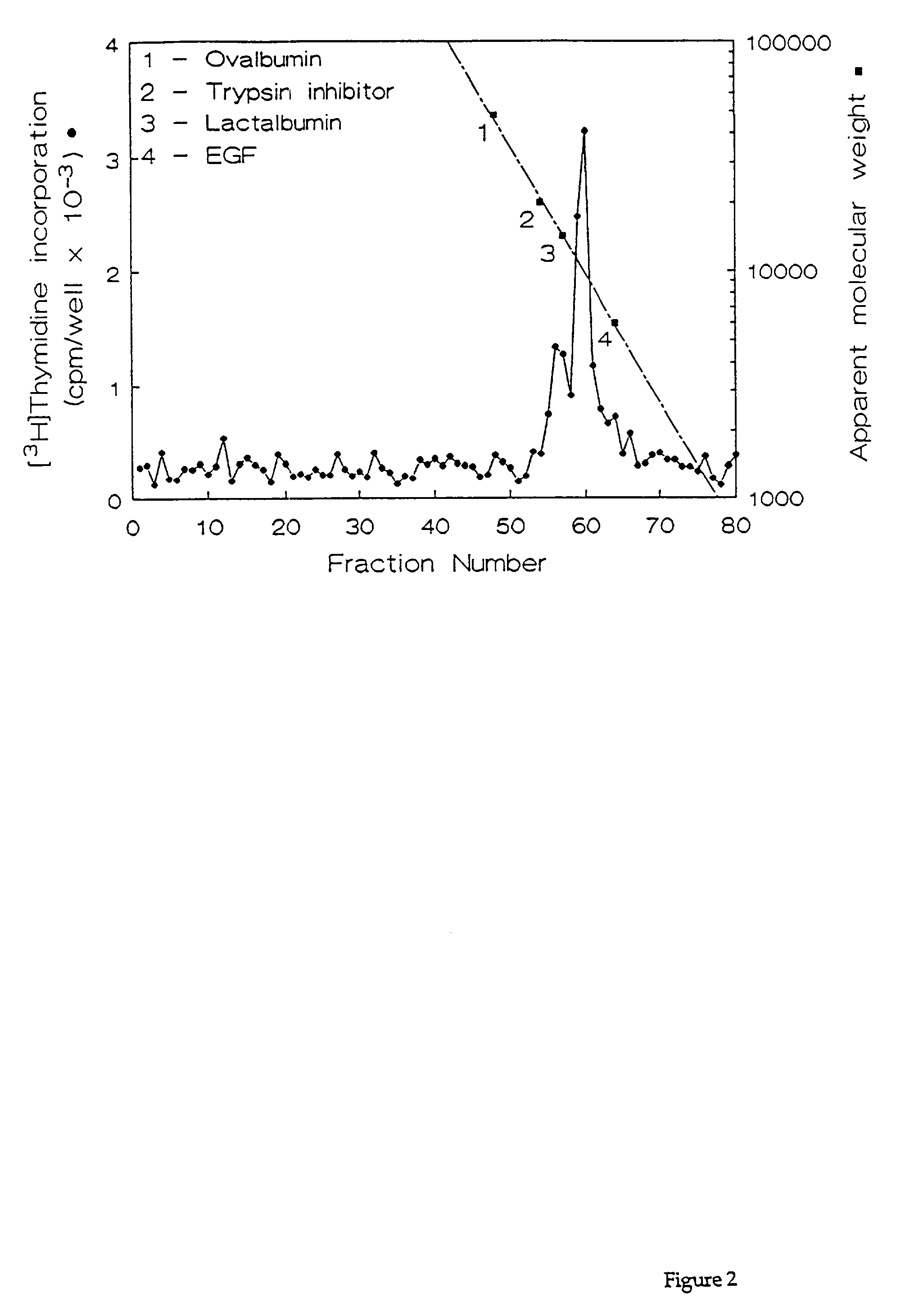 Heparin-binding growth factor (HBGF) polypeptides