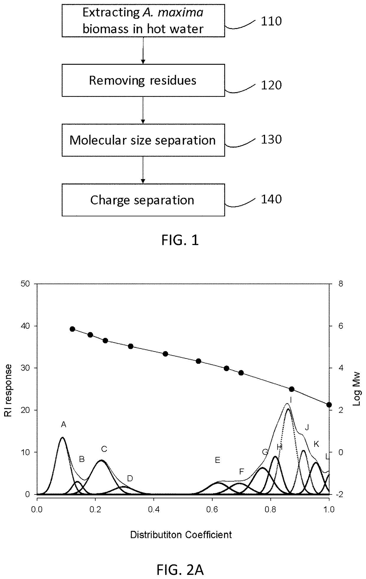 Cyanobacterial extracts, processes for preparing the same and uses thereof