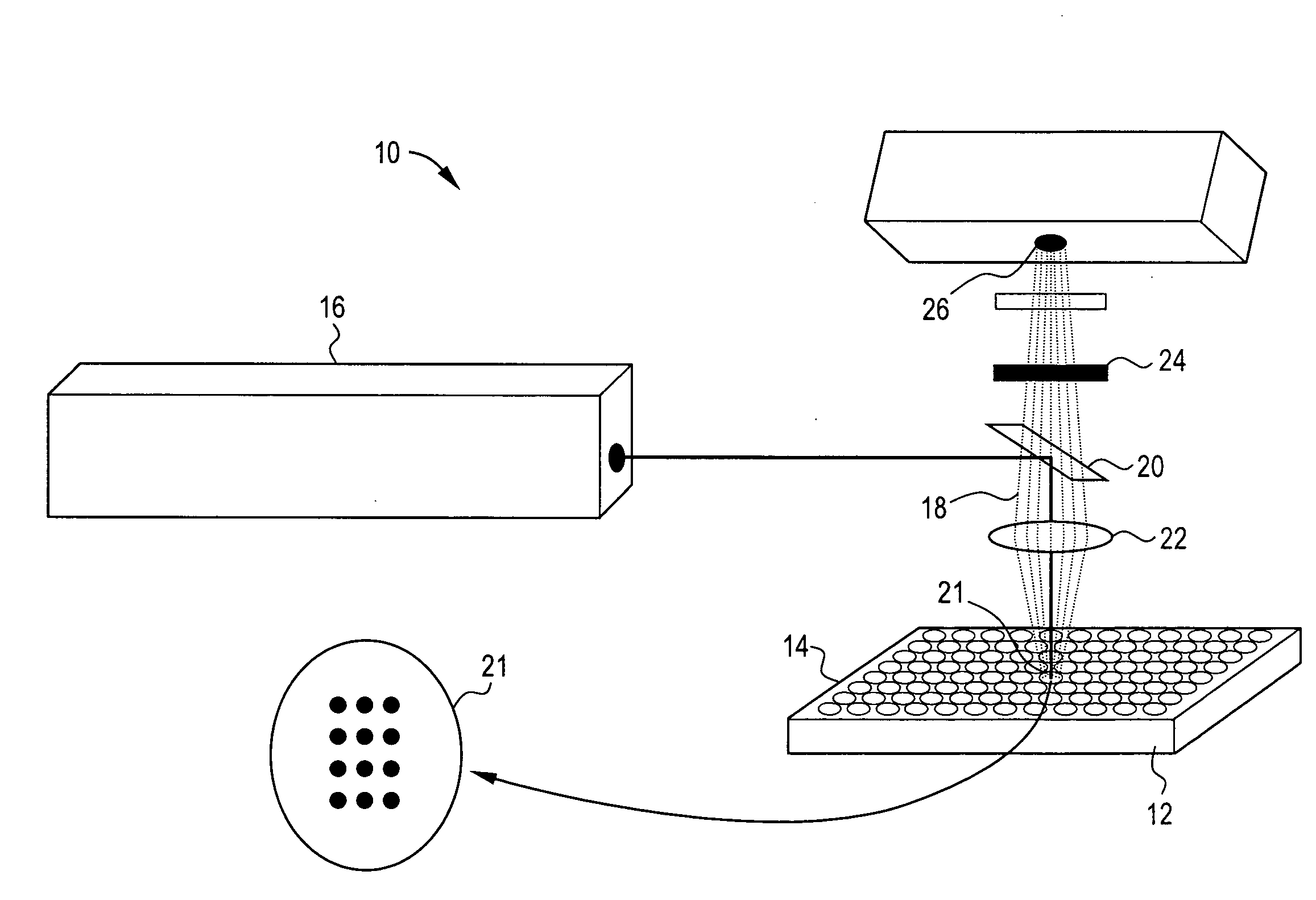 System for high throughput GPCR functional assay