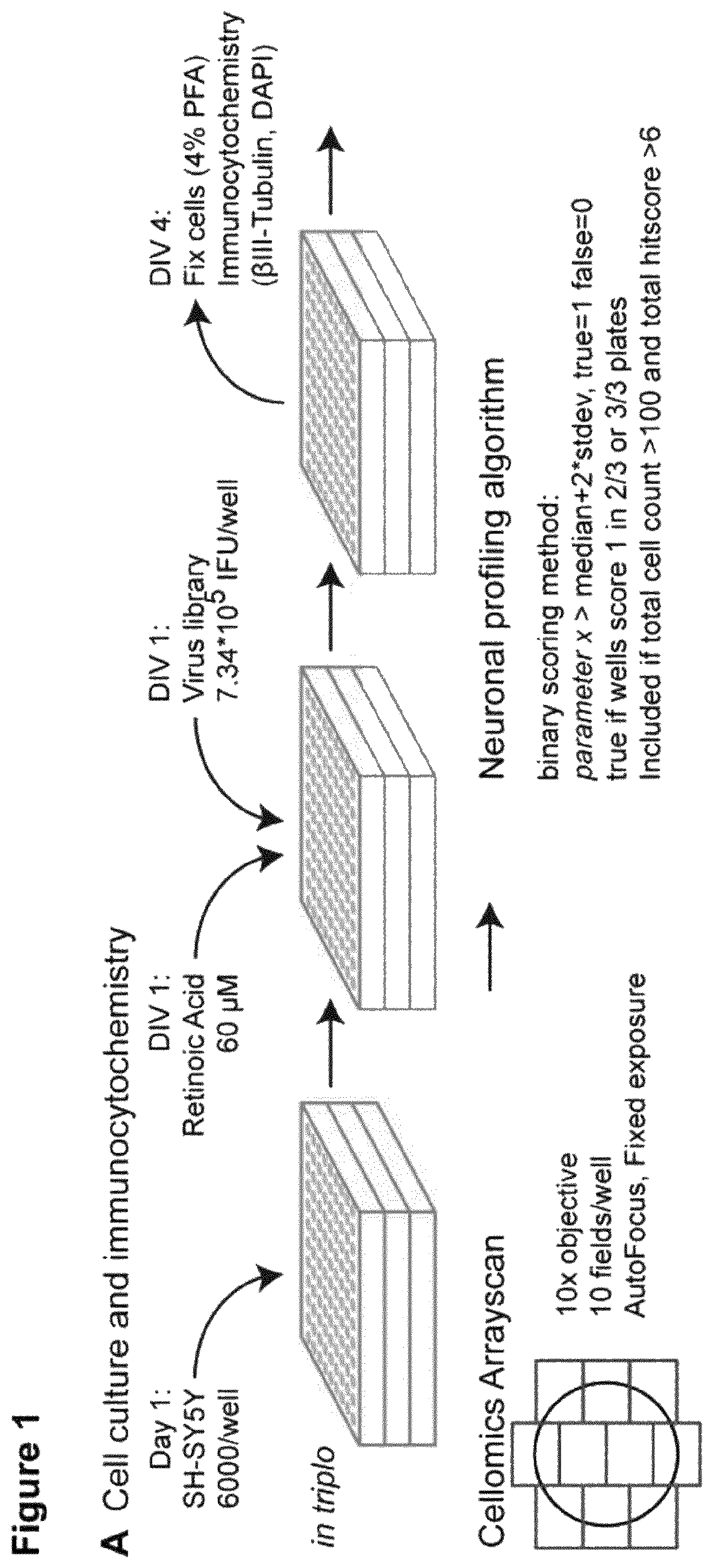 MiRNA molecule, equivalent, antagomir, or source thereof for treating and/or diagnosing a condition and/or a disease associated with neuronal deficiency or for neuronal (re)generation