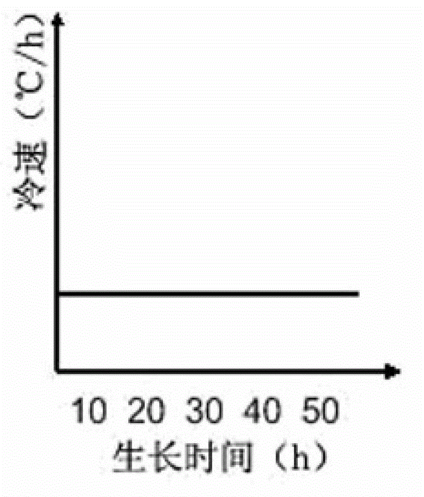 Method for quickly growing REBCO high-temperature superconducting block by stepped slow cooling acceleration