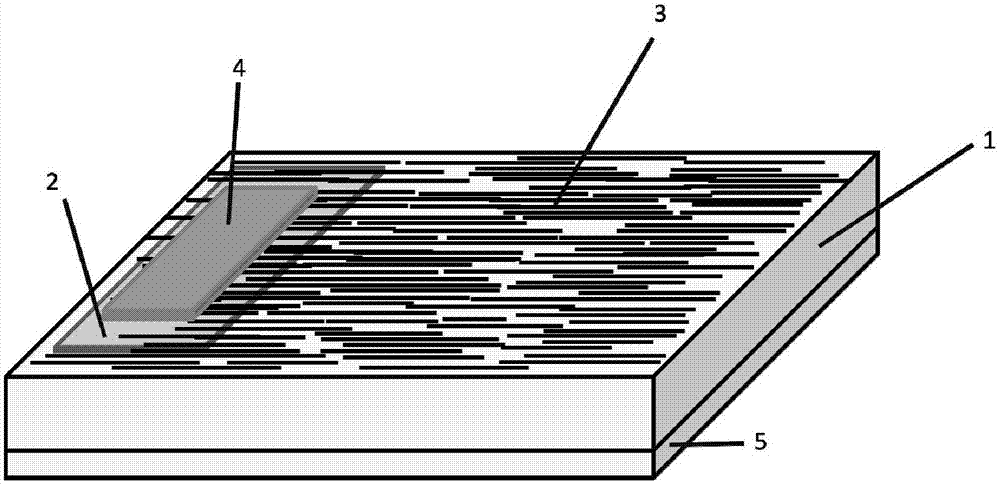 Self-driven near infrared photodetector based on potassium sulfate quasi-one-dimensional nanostructure and preparation method thereof