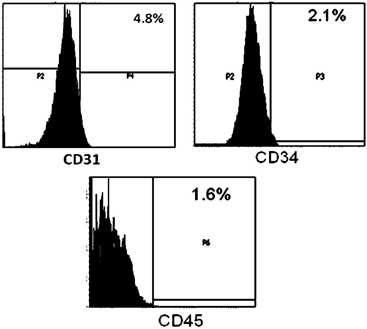 Application of mesenchymal stem cells in preparation of products for treating rheumatoid arthritis