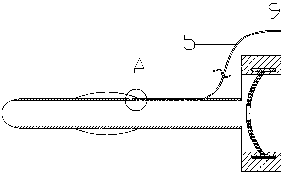 Anus protecting device for enteroscope