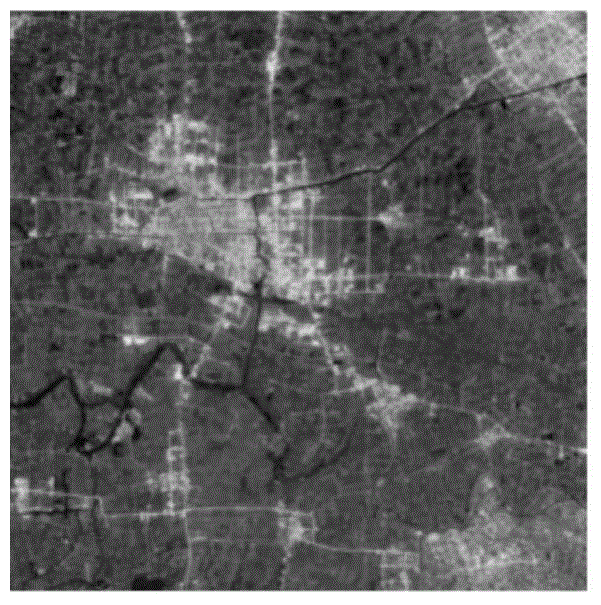 Multi-temporal remote sensing image change detection method based on joint dictionary learning