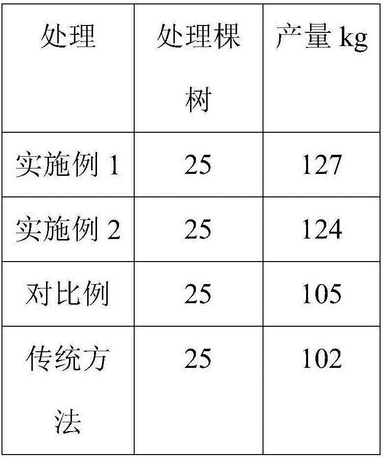 High-yield longan growing and cultivating method