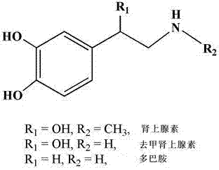 Preparation method of mesoporous TiO2-SiO2 loaded sulfonated metal phthalocyanine catalyst