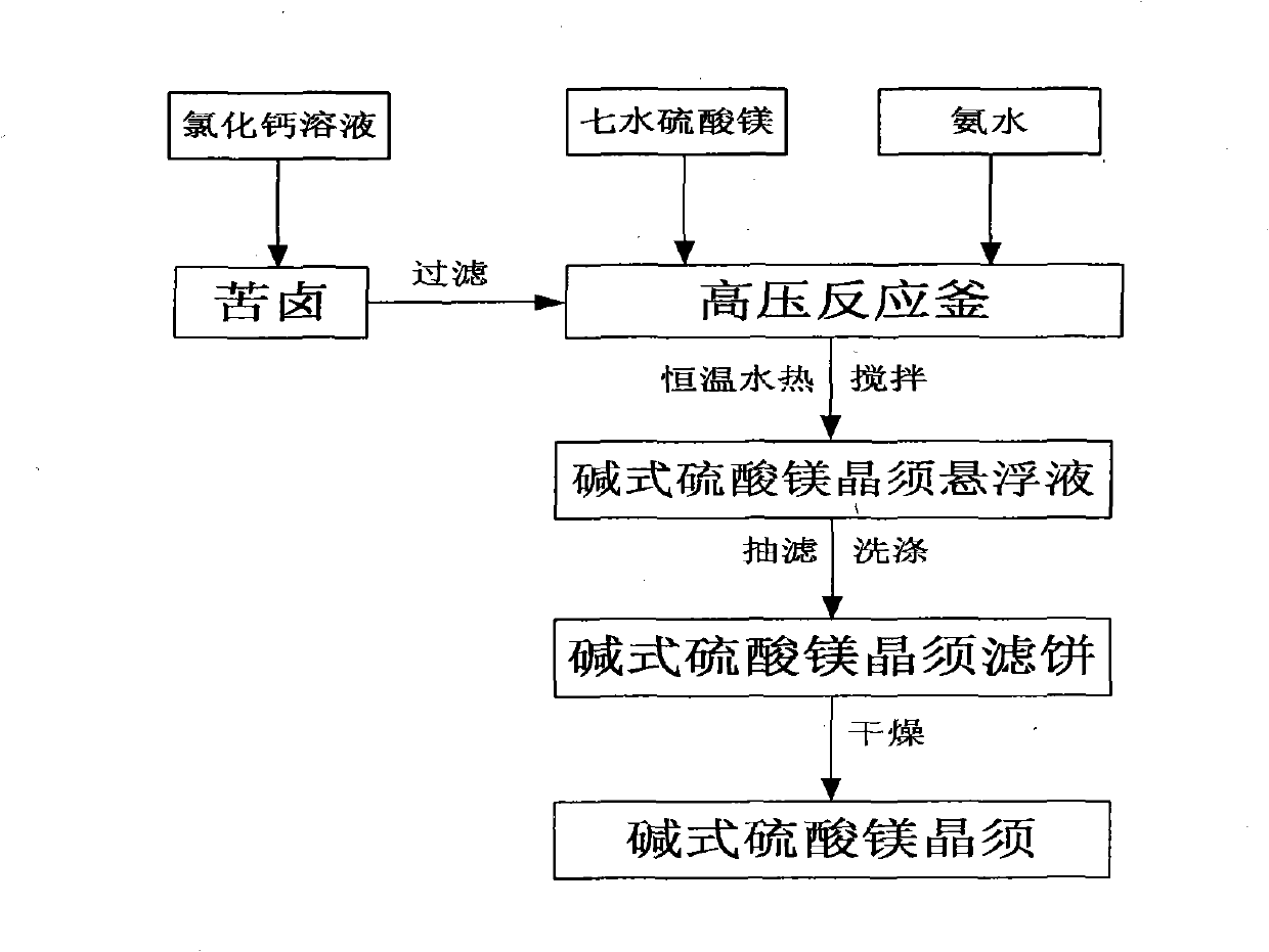 Method for directly synthesizing basic magnesium sulfate whiskers by brine