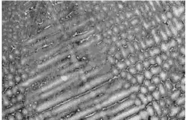 Copper-nickel-manganese-iron alloy and preparation method thereof