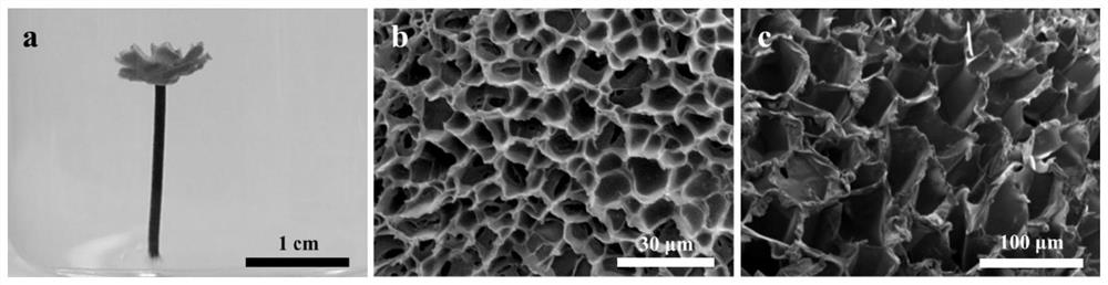 Light-driven photocatalytic reactor and preparation method thereof