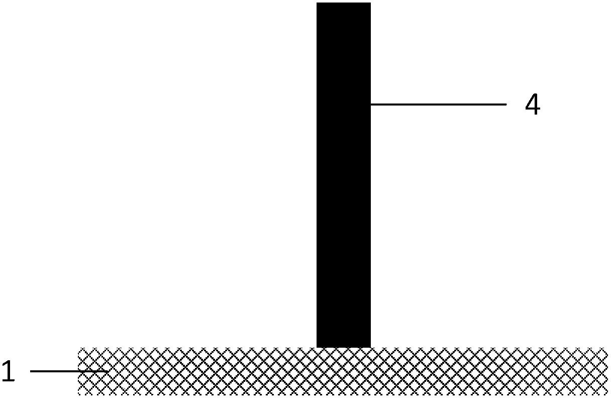 Asymmetric Schottky source drain transistor and preparing method thereof