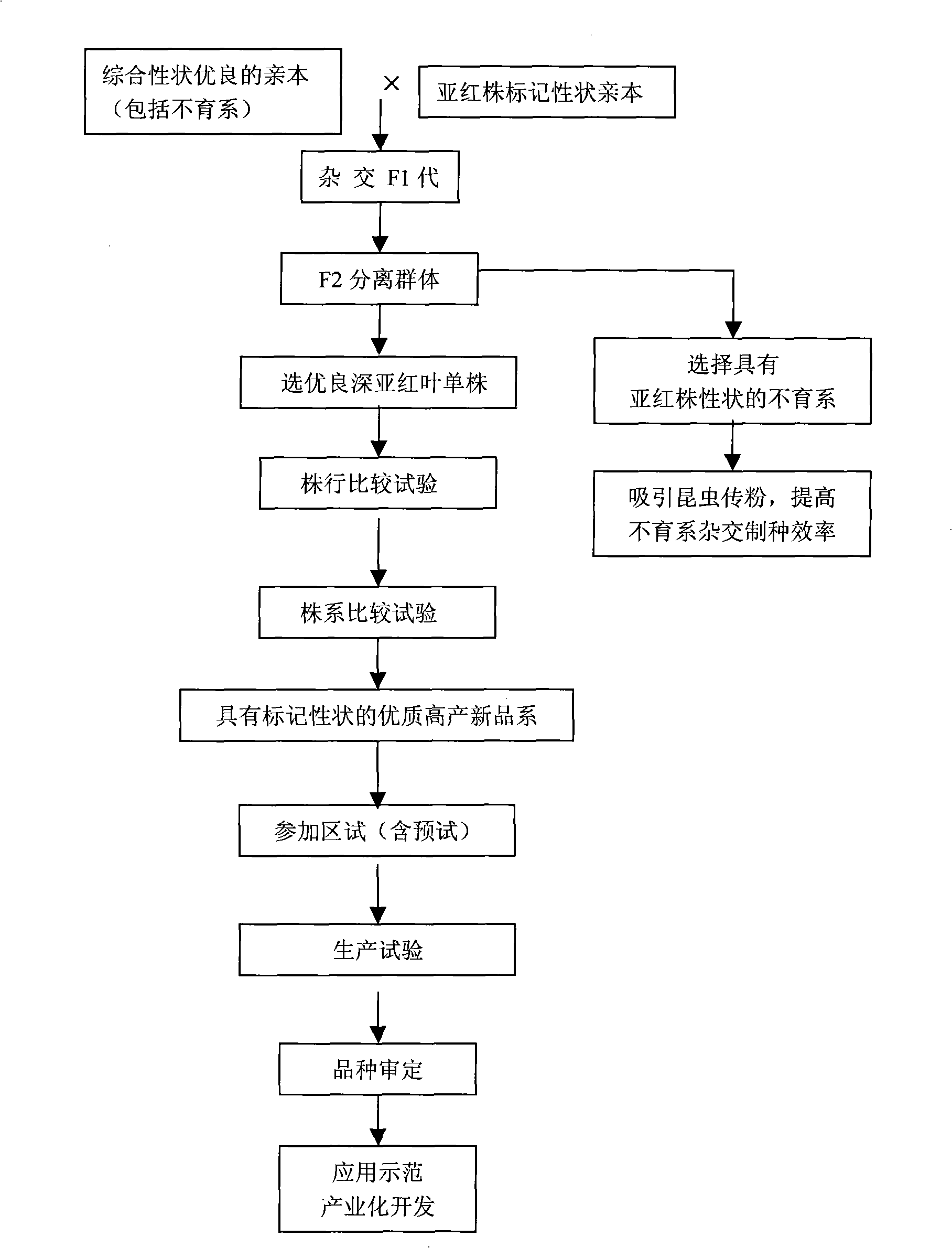 Cotton breeding method using sub-red plant mutant from upland cotton