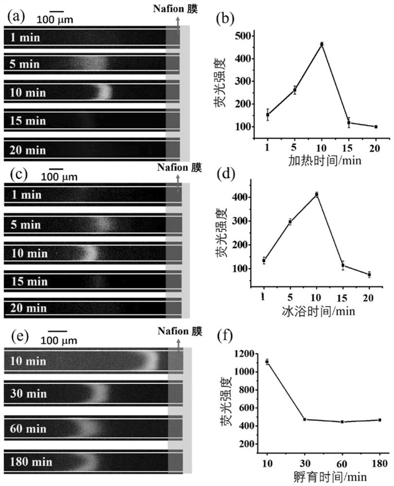 A method for detecting endotoxin