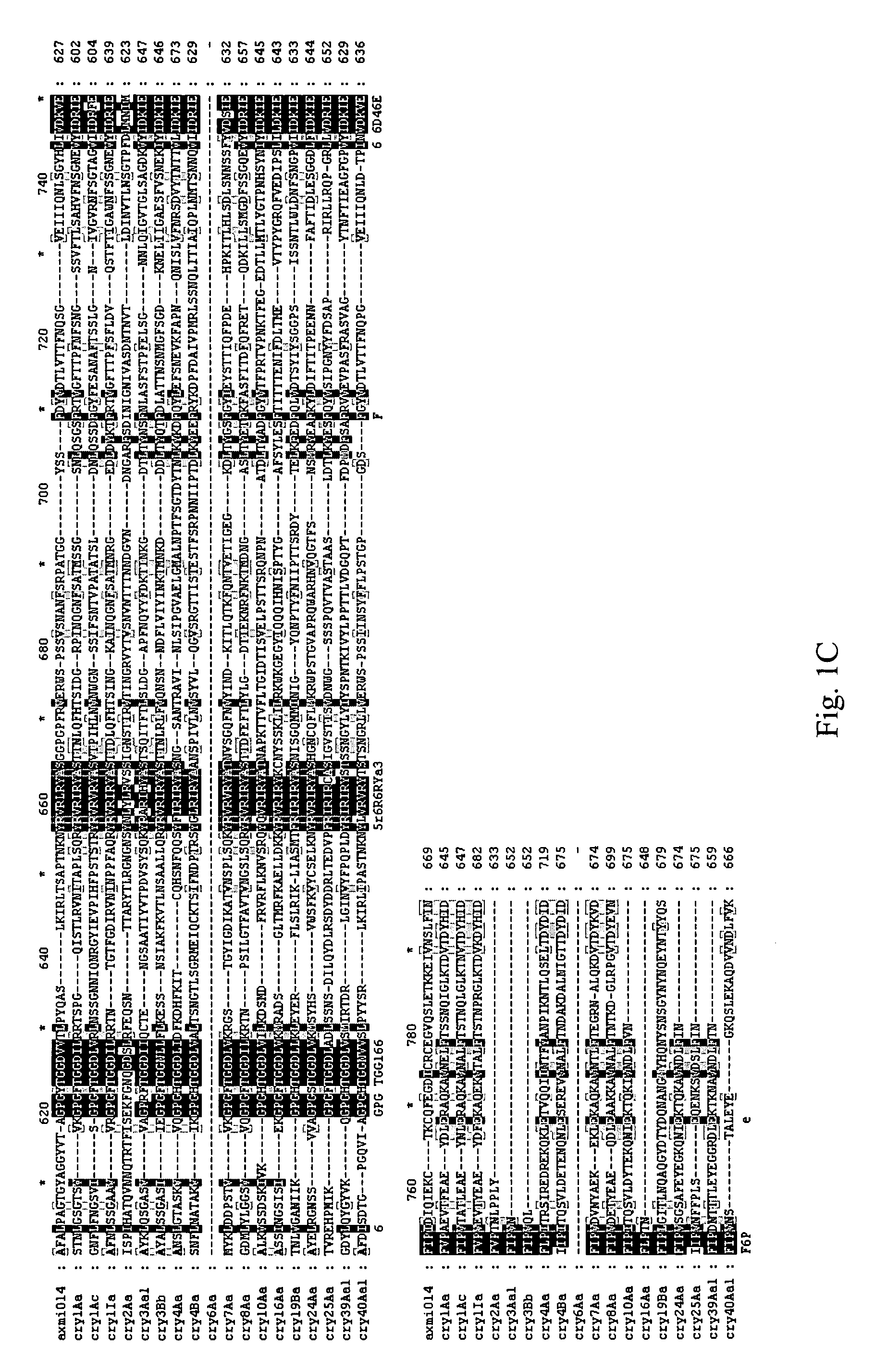 AXMI-014, delta-endotoxin gene and methods for its use