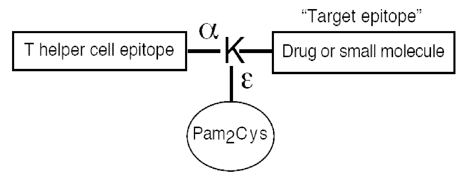 Synthetic, self adjuvanting vaccines