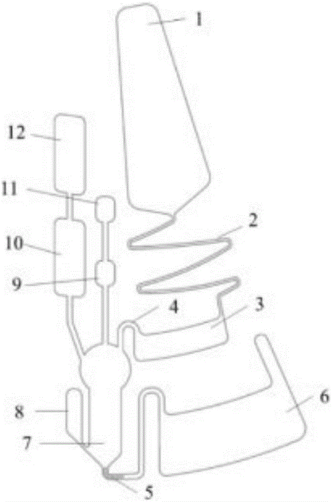 Microfluidic chemiluminescence immune detection device and use method thereof