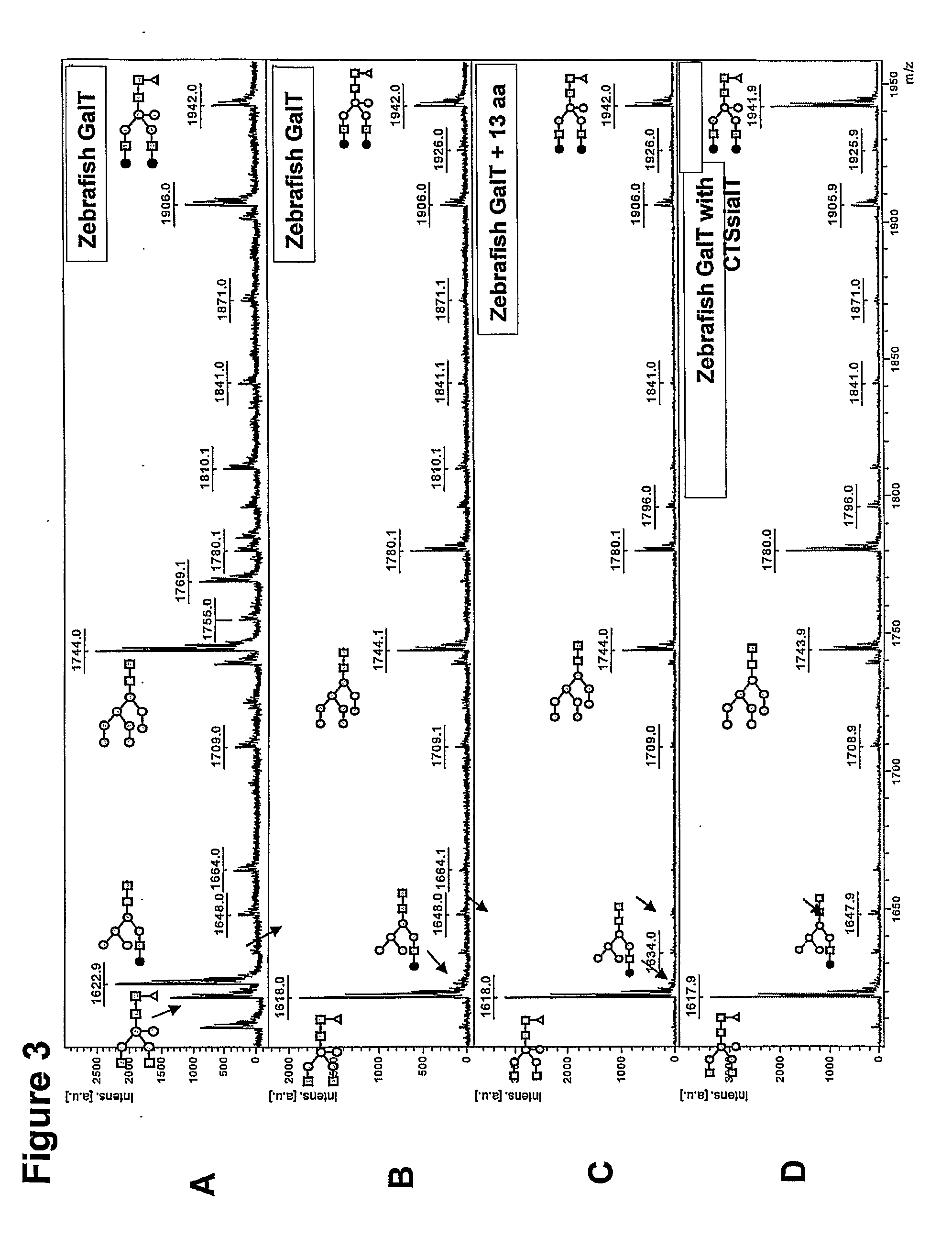 Mammalian-type glycosylation in plants by expression of non-mammalian glycosyltransferases