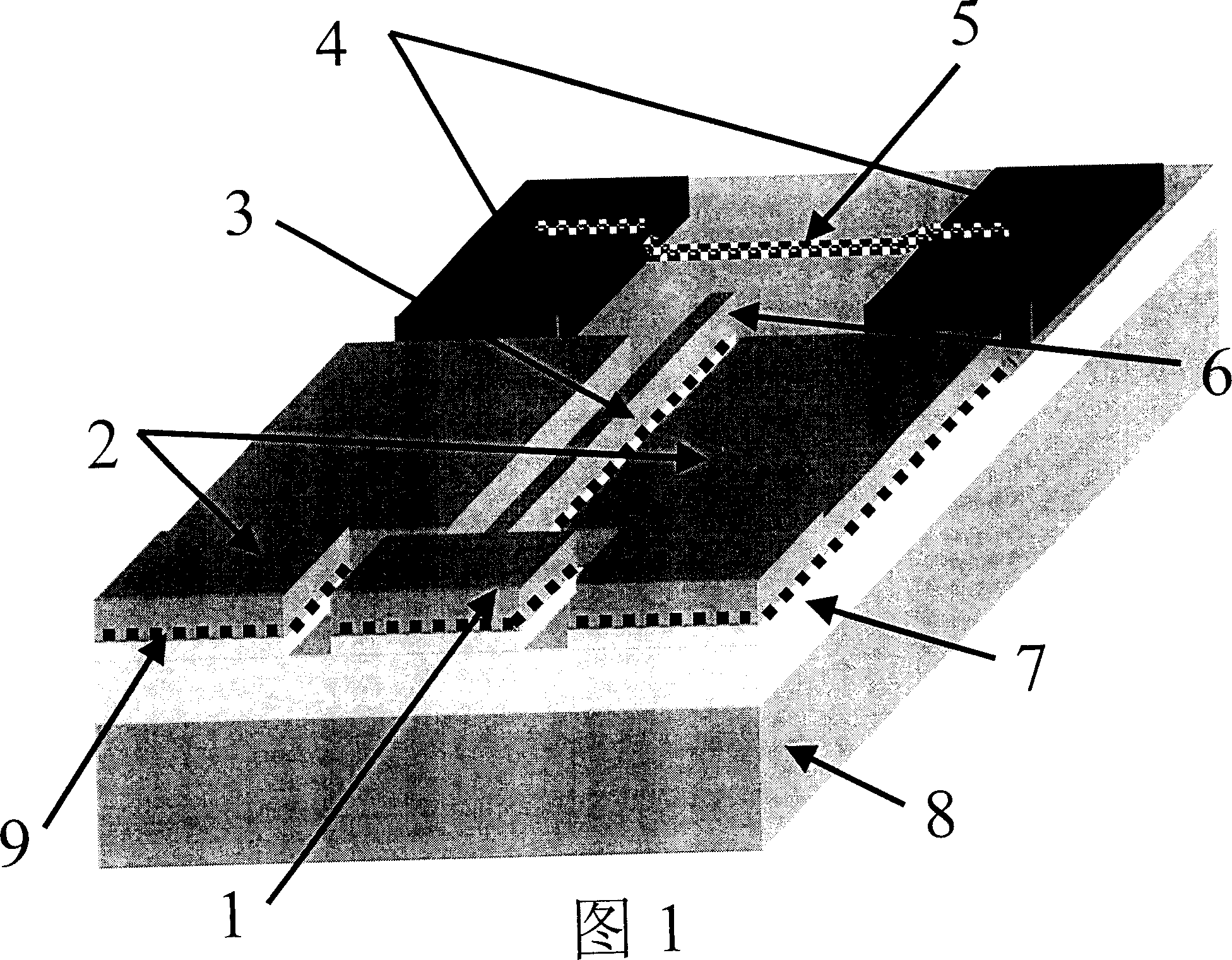 Single electron memory having carbon nano tube structure and process for making it