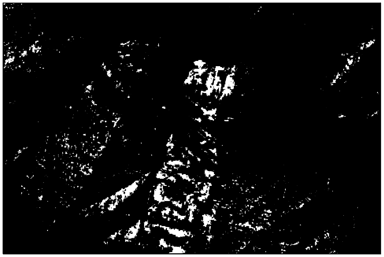 A method and system for identifying pegmatite-type rare metal deposits