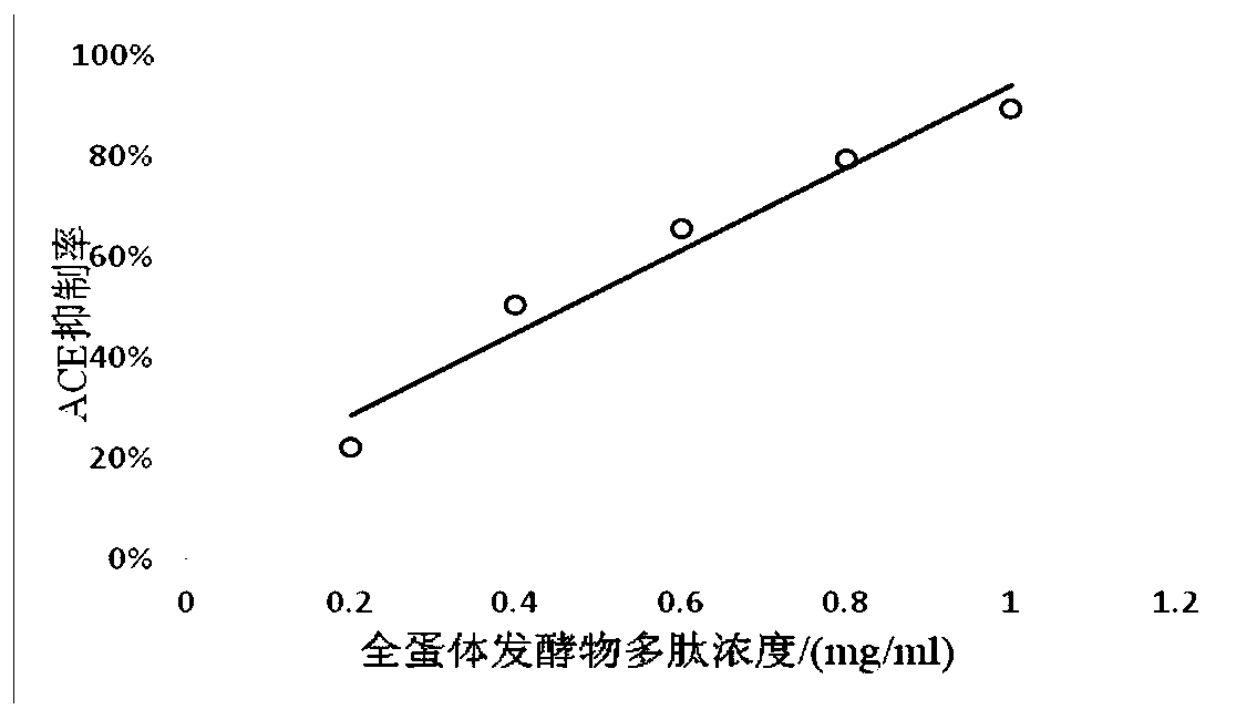 Production method of high-bioactivity whole egg body fermentation product and product and application thereof