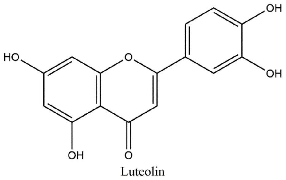 Application of luteolin in preparation of medicine for inhibiting functional activity of pyogenic streptococcus hemolysin