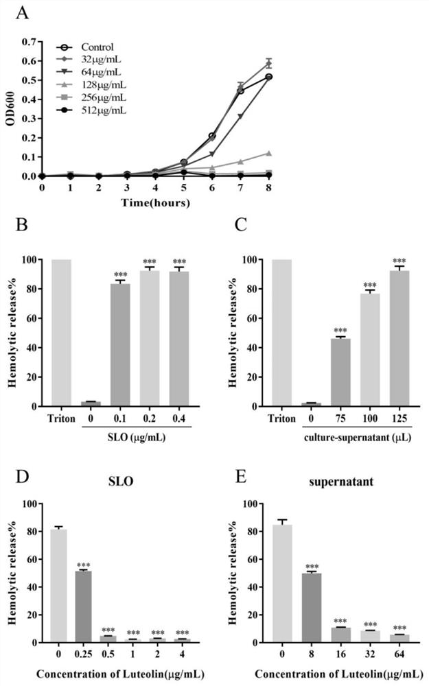 Application of luteolin in preparation of medicine for inhibiting functional activity of pyogenic streptococcus hemolysin